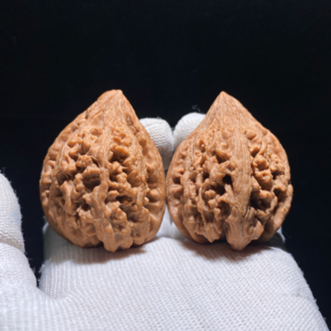 大沽石 大厚高尖无药老树 王牌金典老品种 经久不衰 玩家追捧热搜