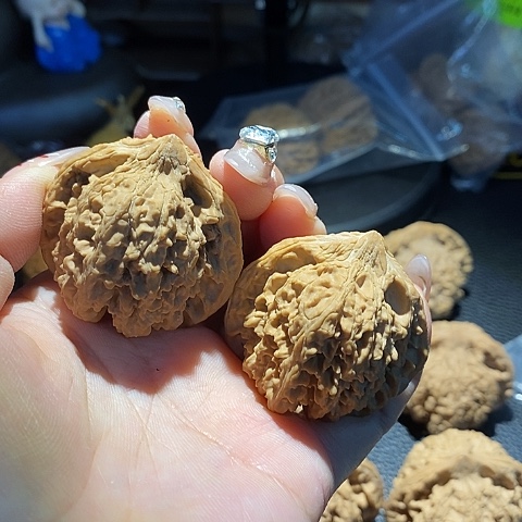 文玩核桃吊坠璐*总满天星42