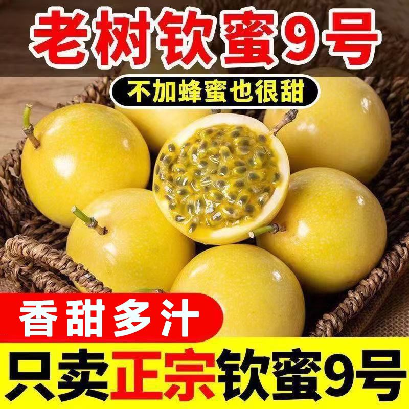 L1【广西钦蜜9号百香果】新鲜现摘当季水果3-5斤鲜甜多汁送开果器