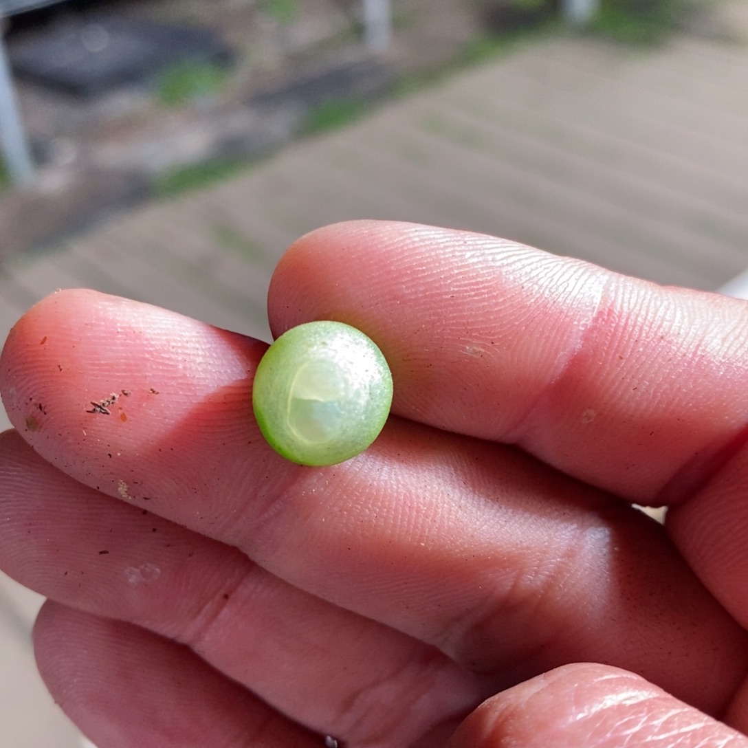 7141一个一个一个