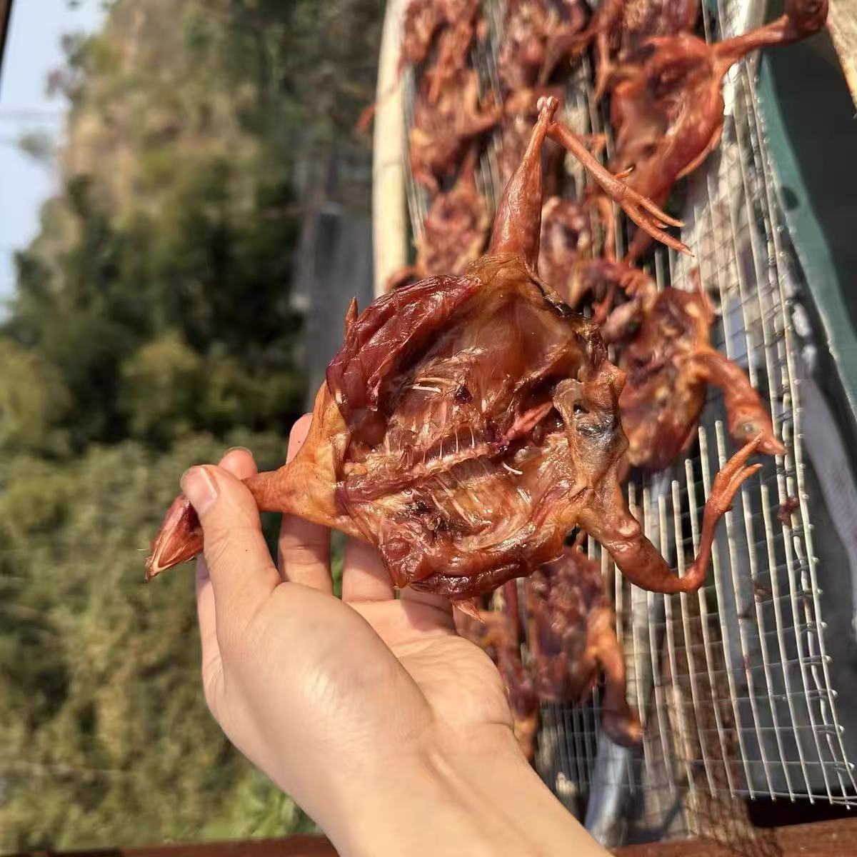 腊鹌鹑固始农家腊味纯手工腌制
