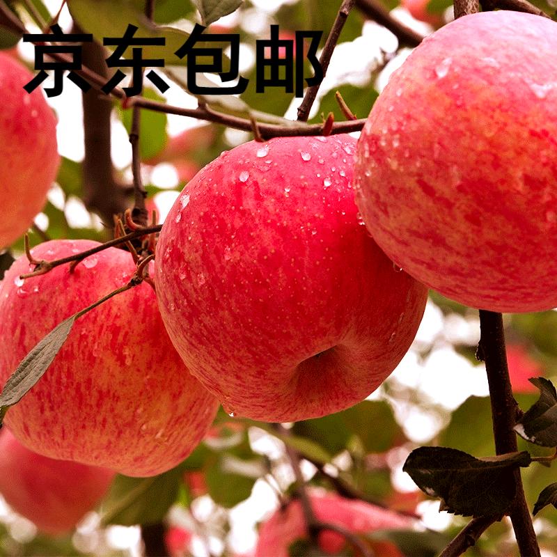 （京东）正宗陕西洛川红富士苹果脆甜多汁新鲜应季水果