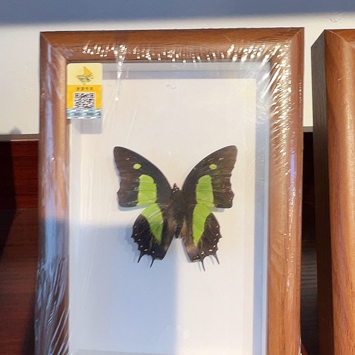 有机玻璃79987668899