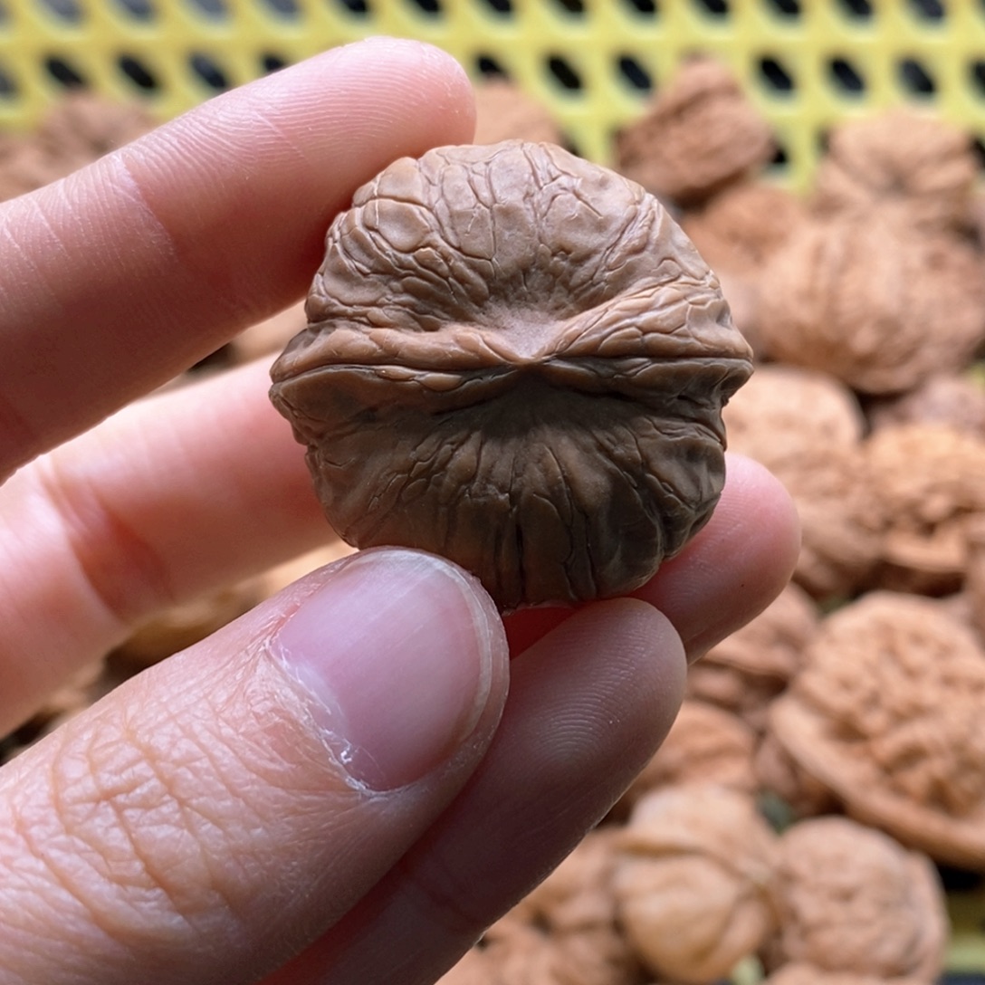 除***谁核桃定制商品不退不换