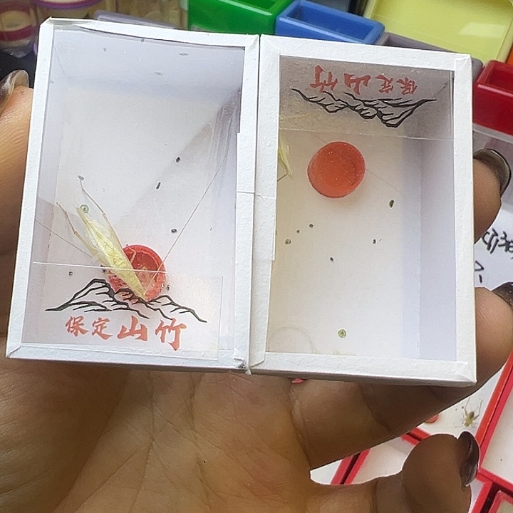哈哈哈哈哈哈哈哈哈哈