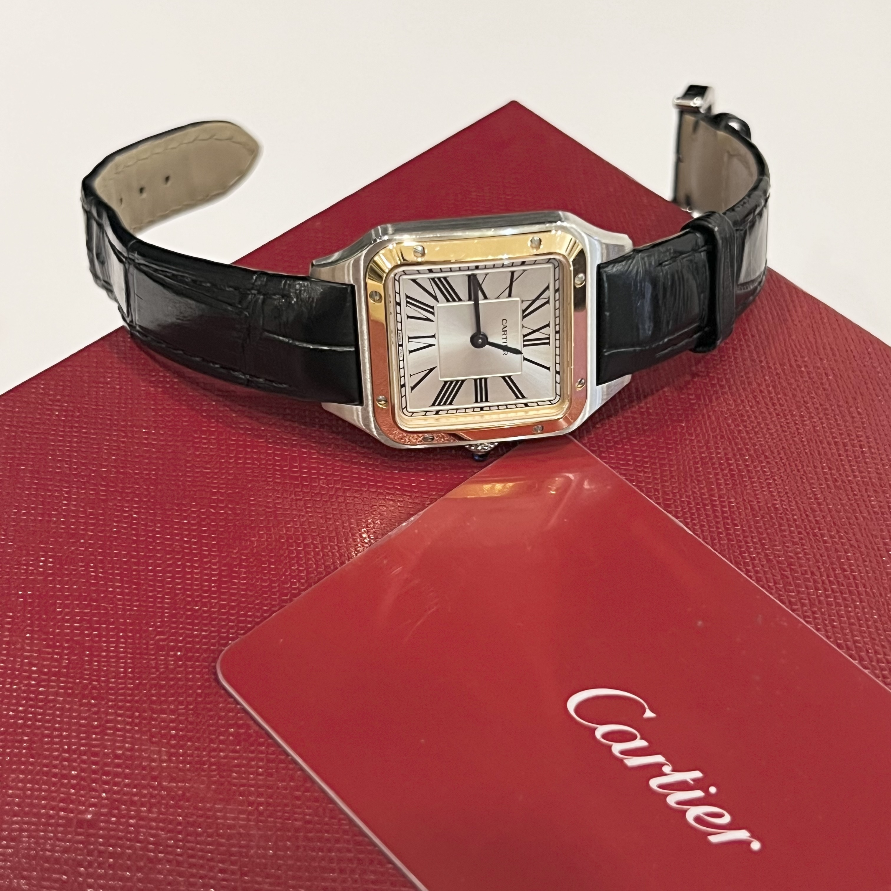 99新 Cartier/卡地亚 山度士系列小号石英腕表 银色表盘