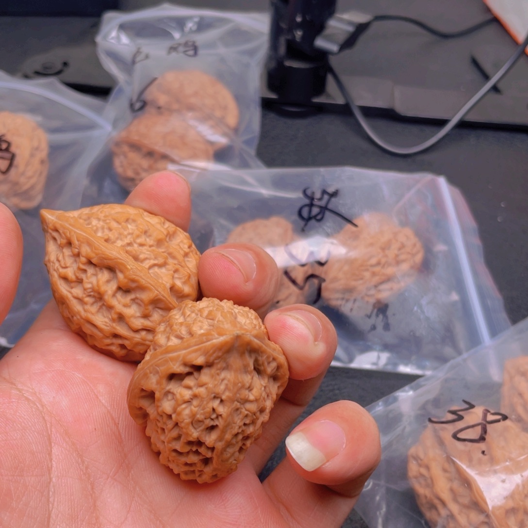 一***哈文玩核桃吊坠沈鸡