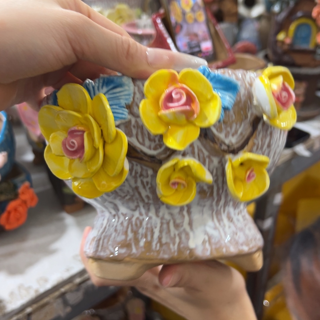 花盆拍满20发货退款拉黑