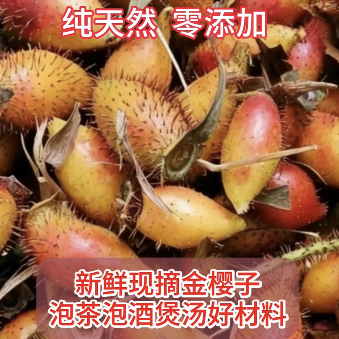 湖南新鲜深山金樱子刺梨糖罐子正宗山石榴泡酒鲜果泡茶煲汤