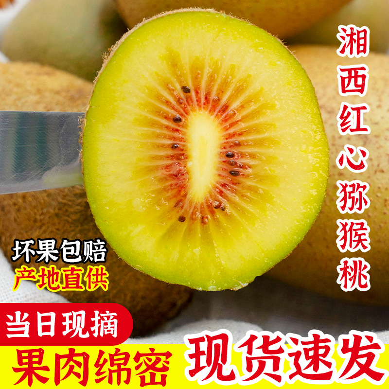 正宗湖南现摘现发红心猕猴桃新鲜采摘孕妇可食坏果包赔精选大果