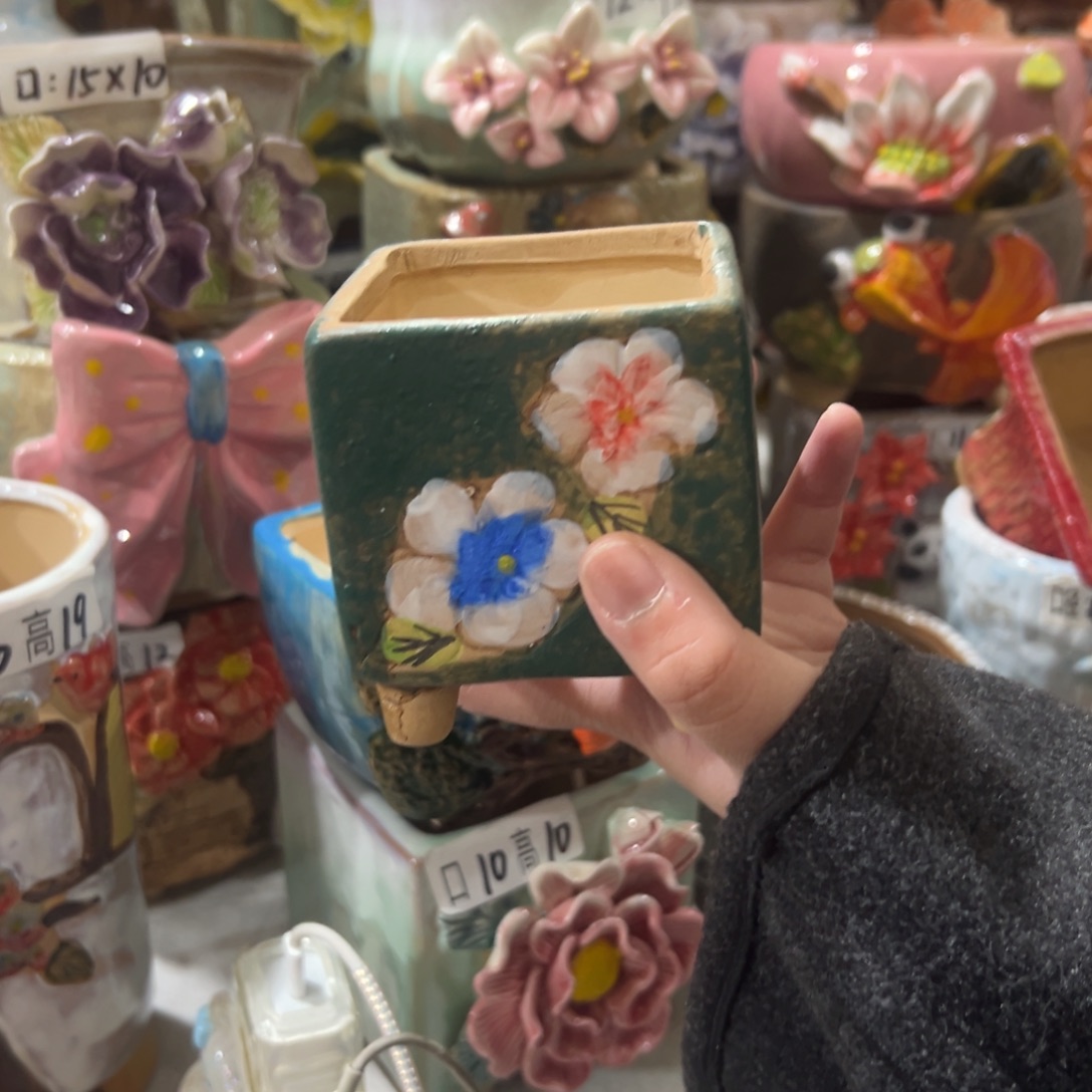 花盆，拍满20发货，退款拉黑