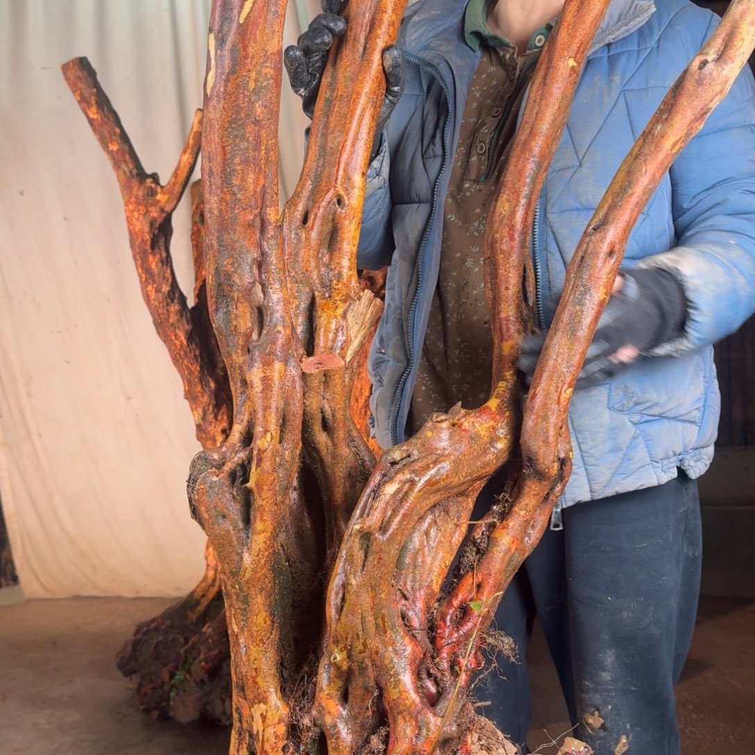 龙***下88888888888888888