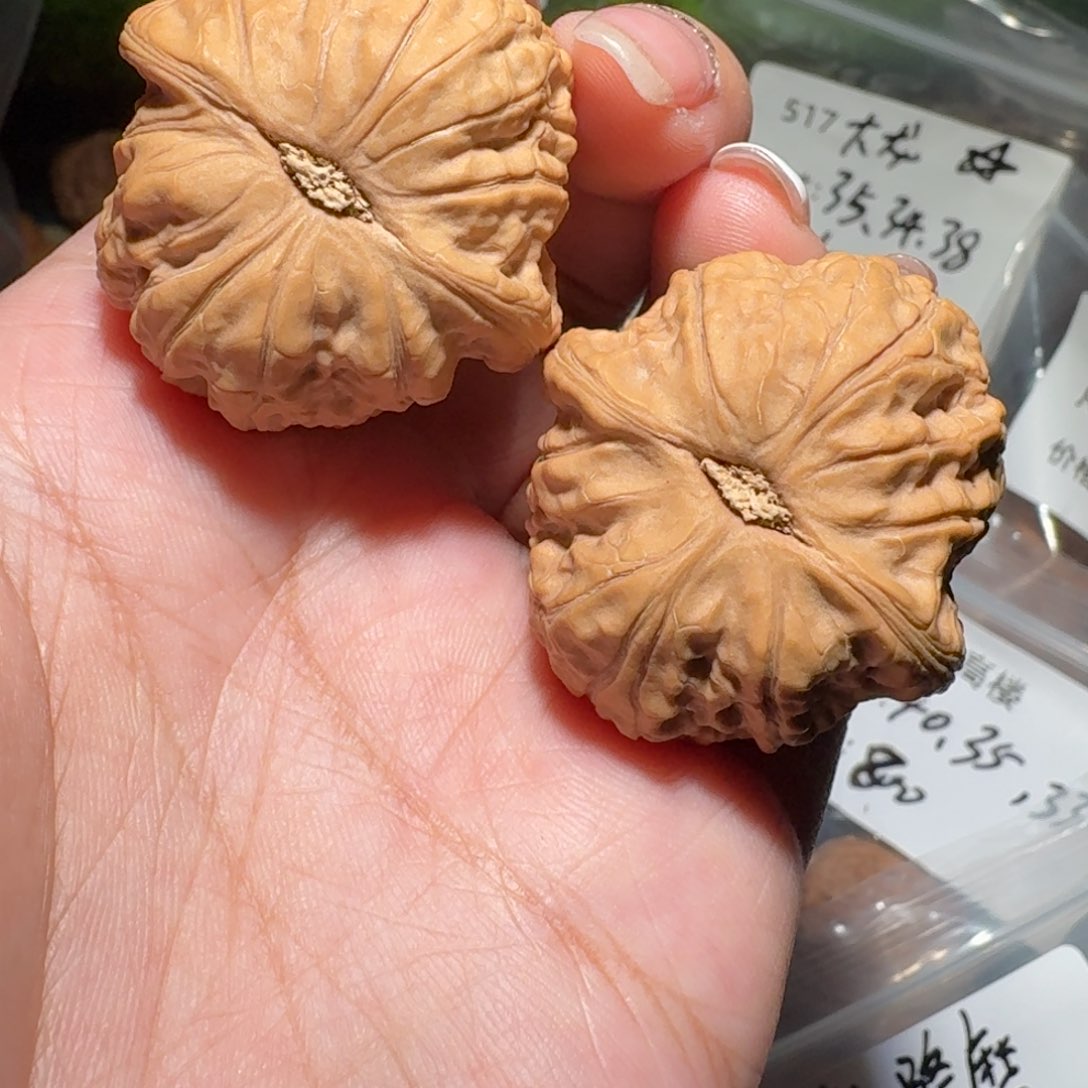 667号36尺寸乾隆磨狮子头