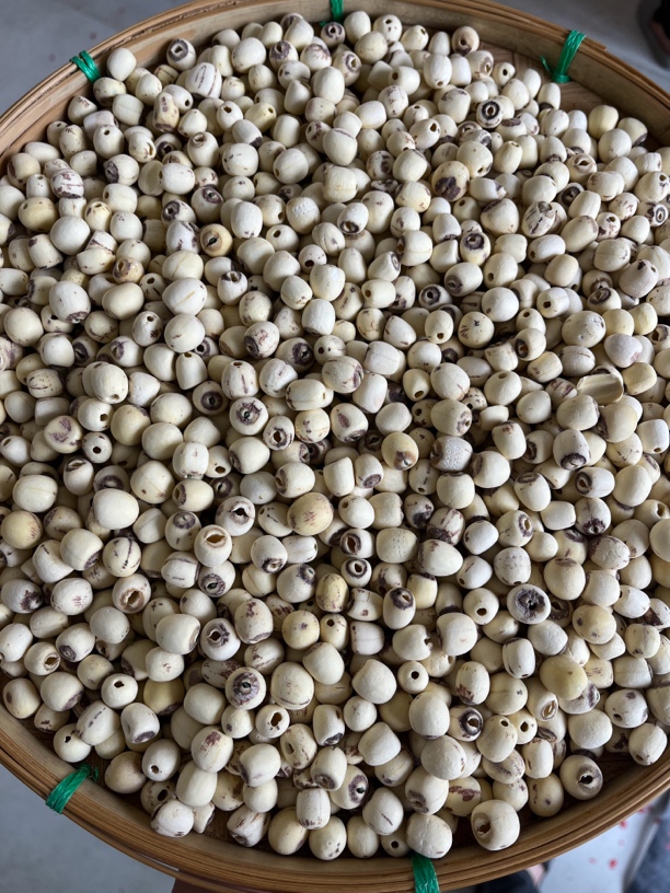 《阿浩专用土特产》莲子500g