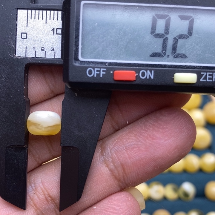 裸石琥珀未镶嵌32号9.2*6.1