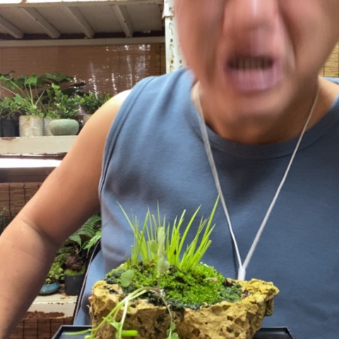 红陶一物一拍所见即所得33