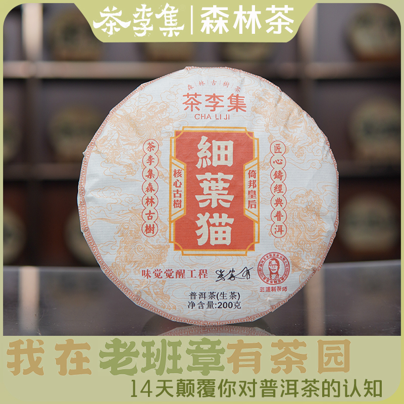 【整提5片装】细叶猫 古树纯料生茶200g/饼 拍5发6