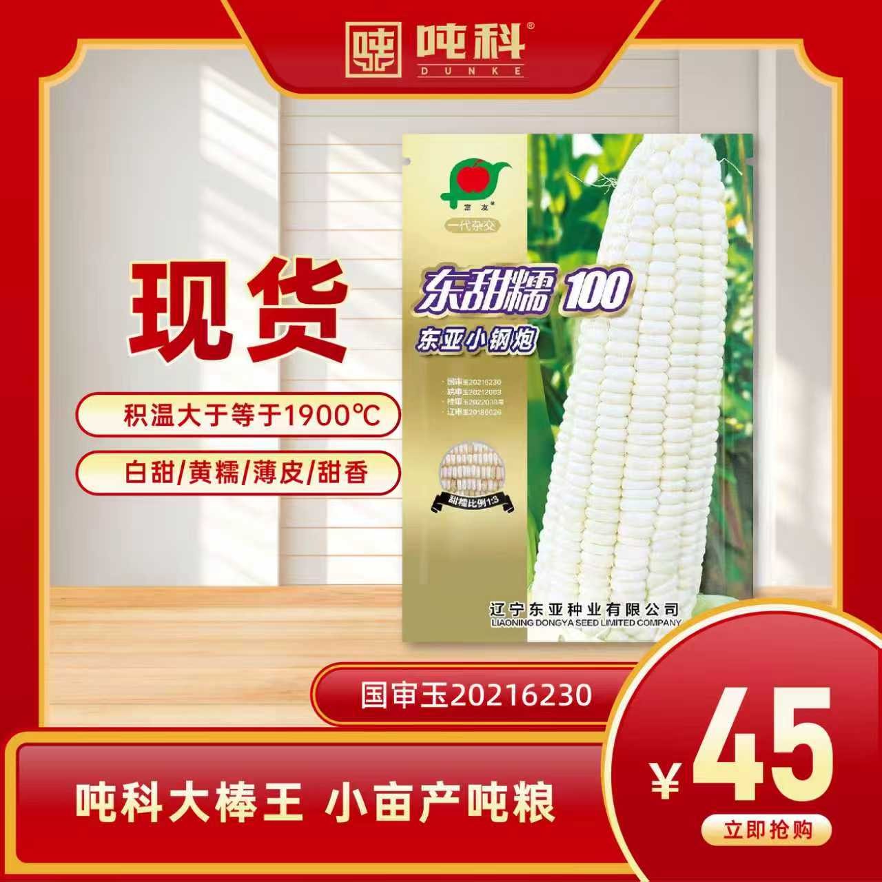 东甜糯玉米种子现货