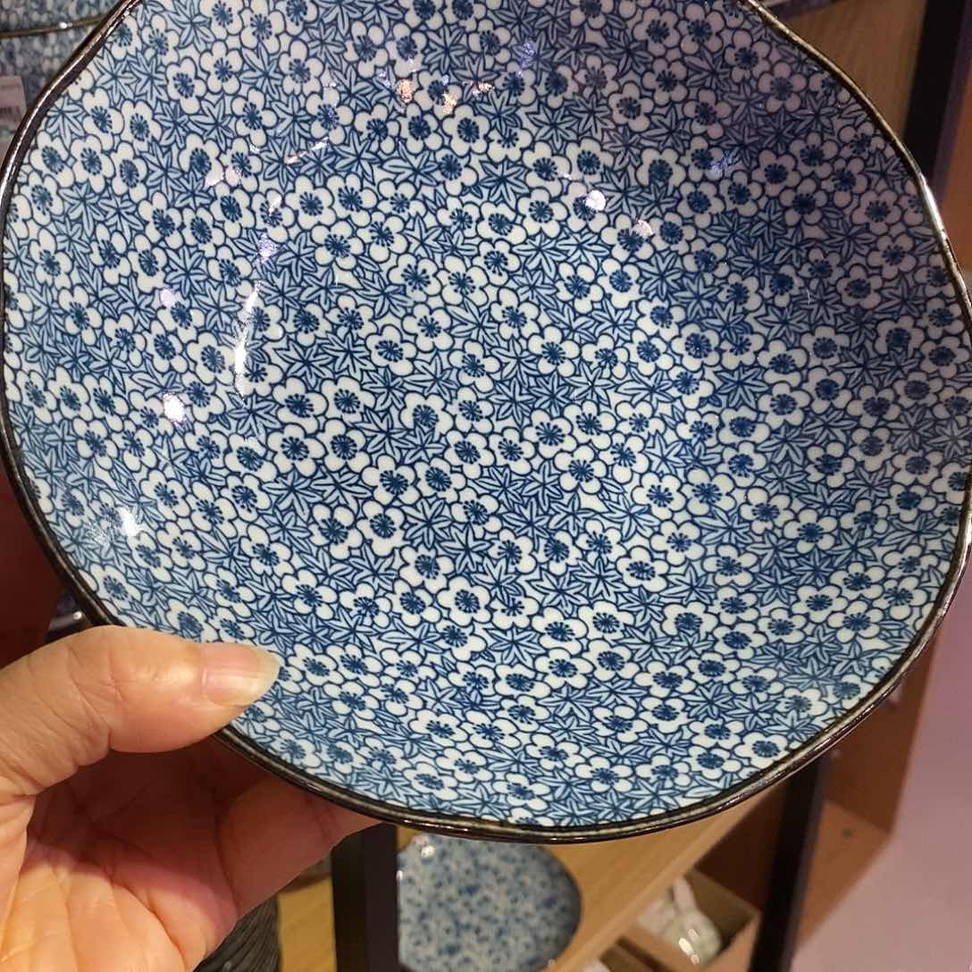 瓷片日本原装进口21/5深盘