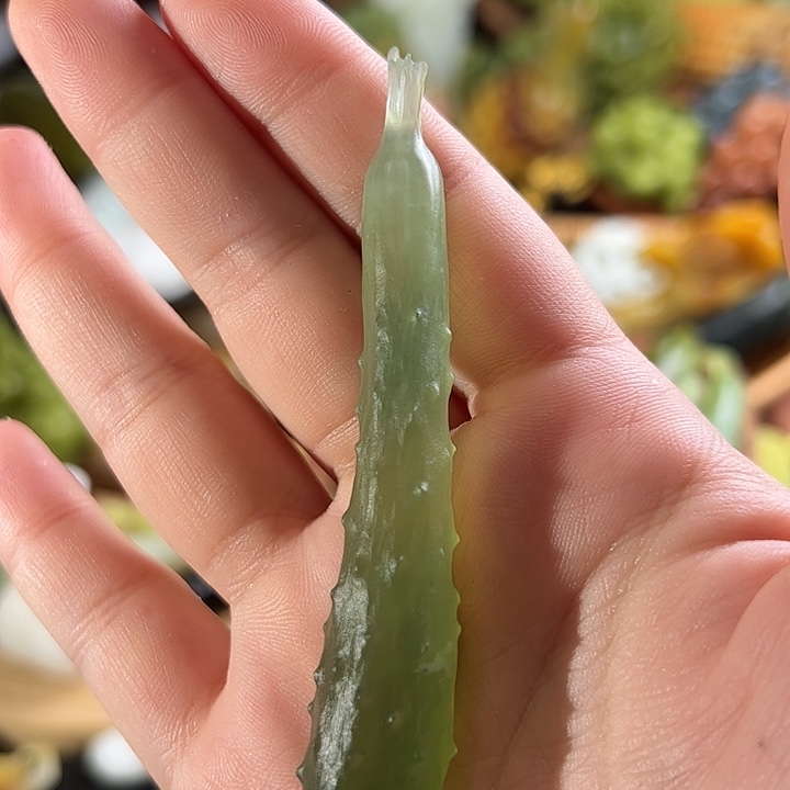 蛇纹石玉黄瓜未镶嵌快**光