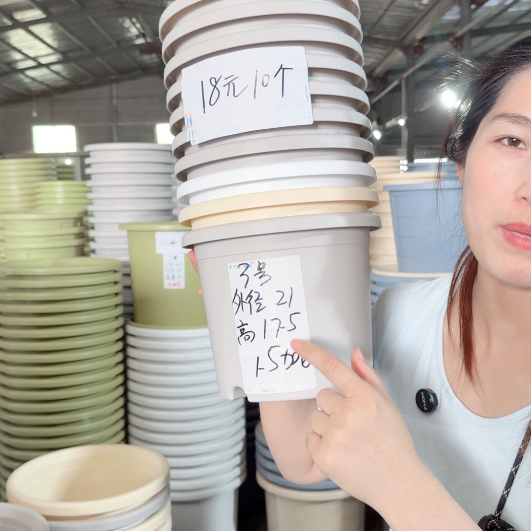 微瑕3#无拖灰白10个