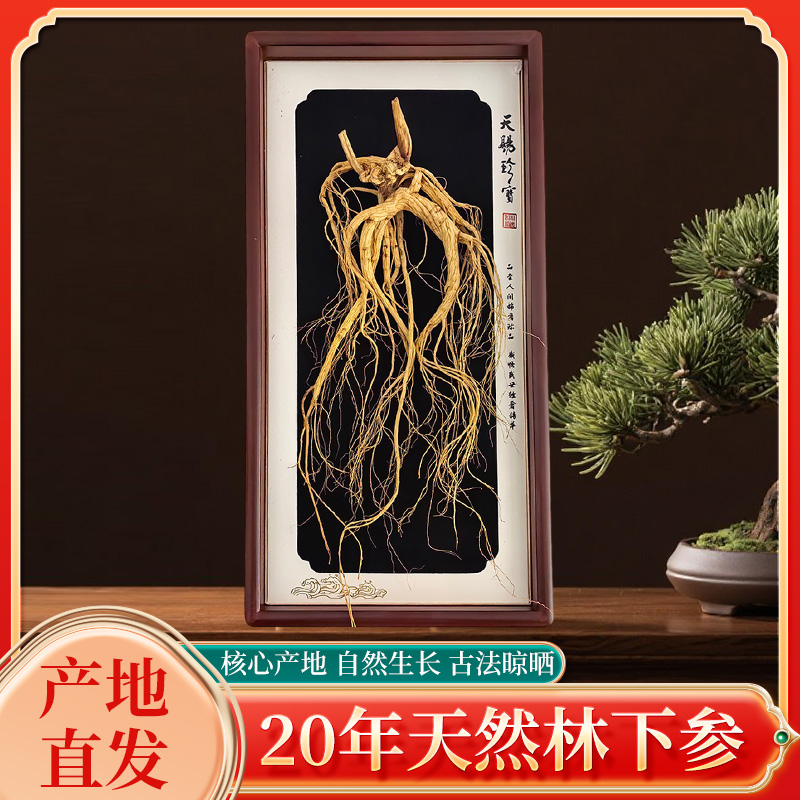 单只每盒山参大货长年40g+高龄28年桓仁形体好干货高档礼盒尚品