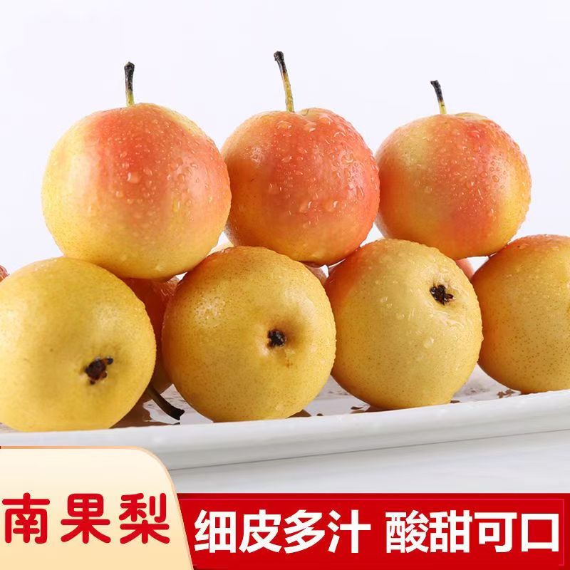 【顺丰包邮】正宗鞍山南果梨海城南国梨东北梨新鲜水果当季阳面果