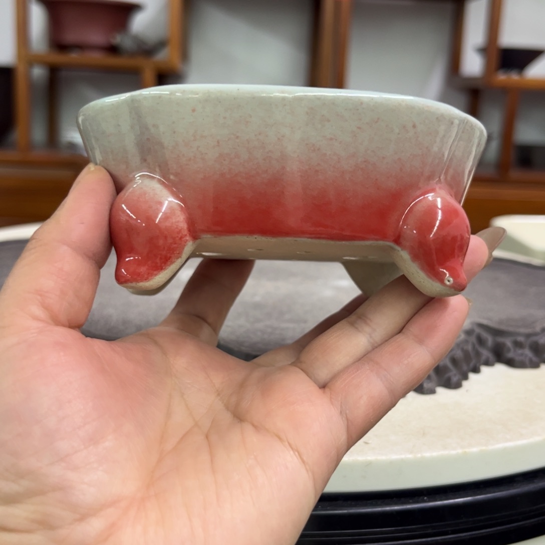 紫砂花盆瑕疵5-12-9。。z