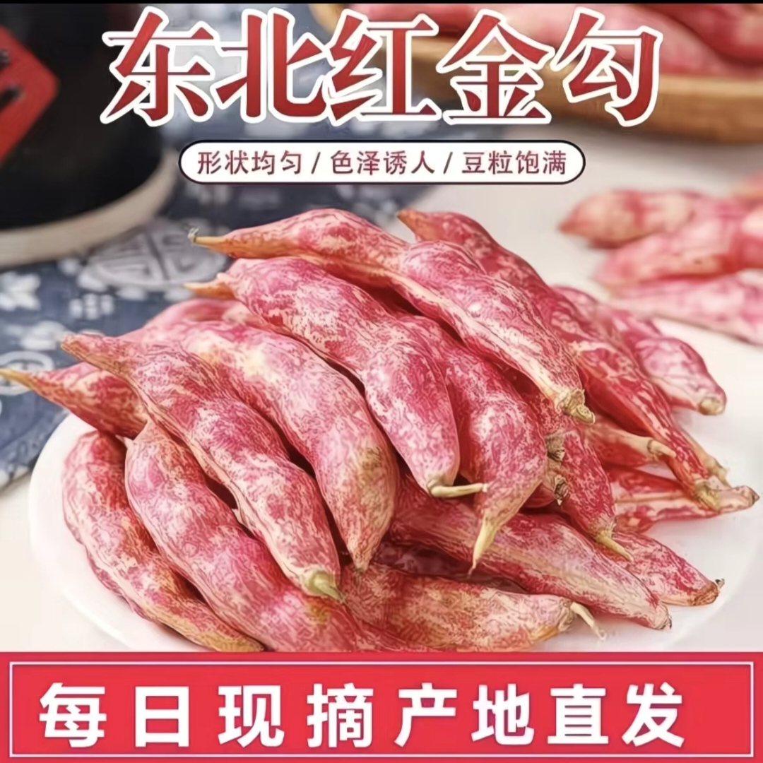 东北吉林新鲜红金钩豆角 豆多皮薄现采摘现发货