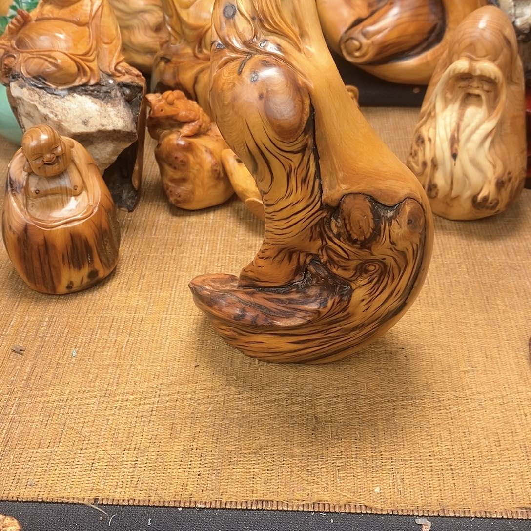 柏木（崖柏）一物一图