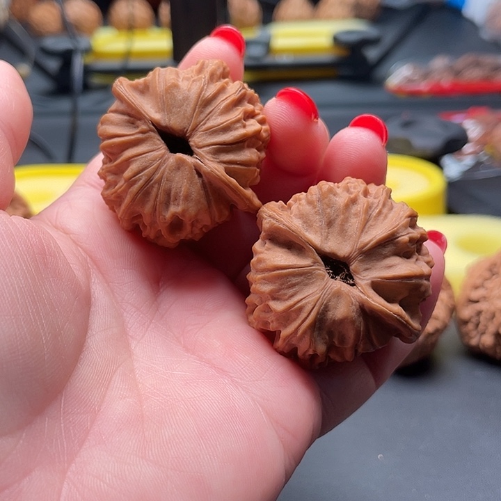 全品无修天地40/40/35