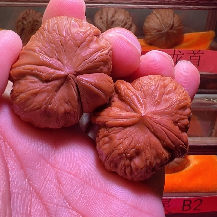 夫妻一对干活不累平谷元宝核桃