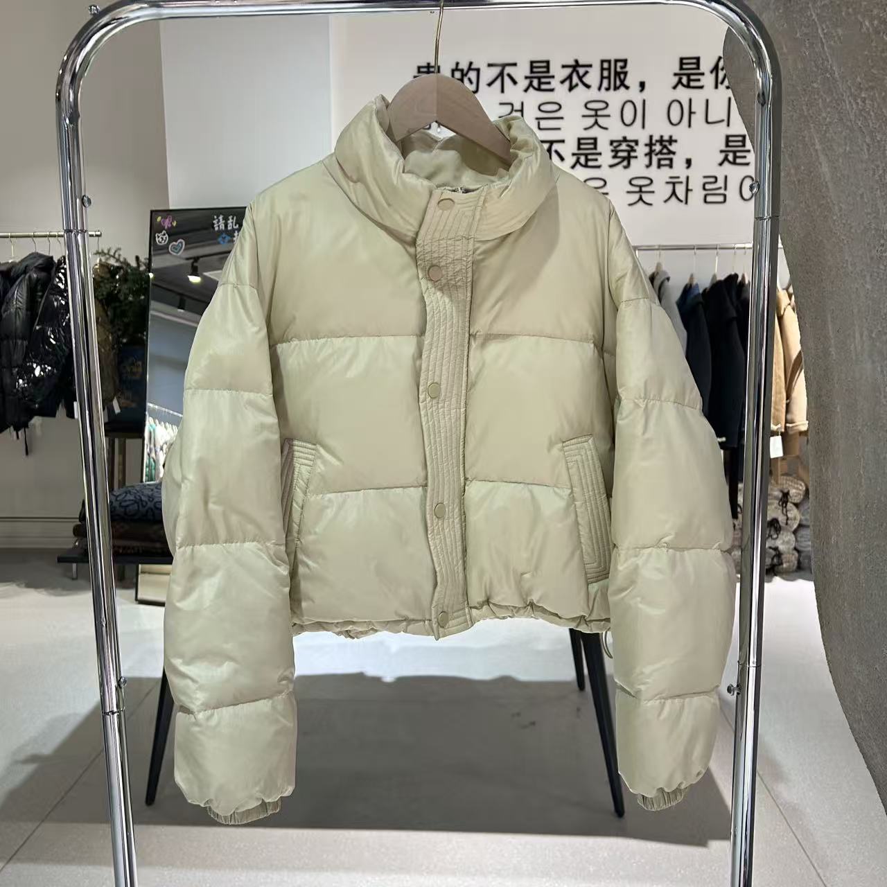 韩系短款立领羽绒服女款女士秋冬新款高级感气质休闲小个子保暖