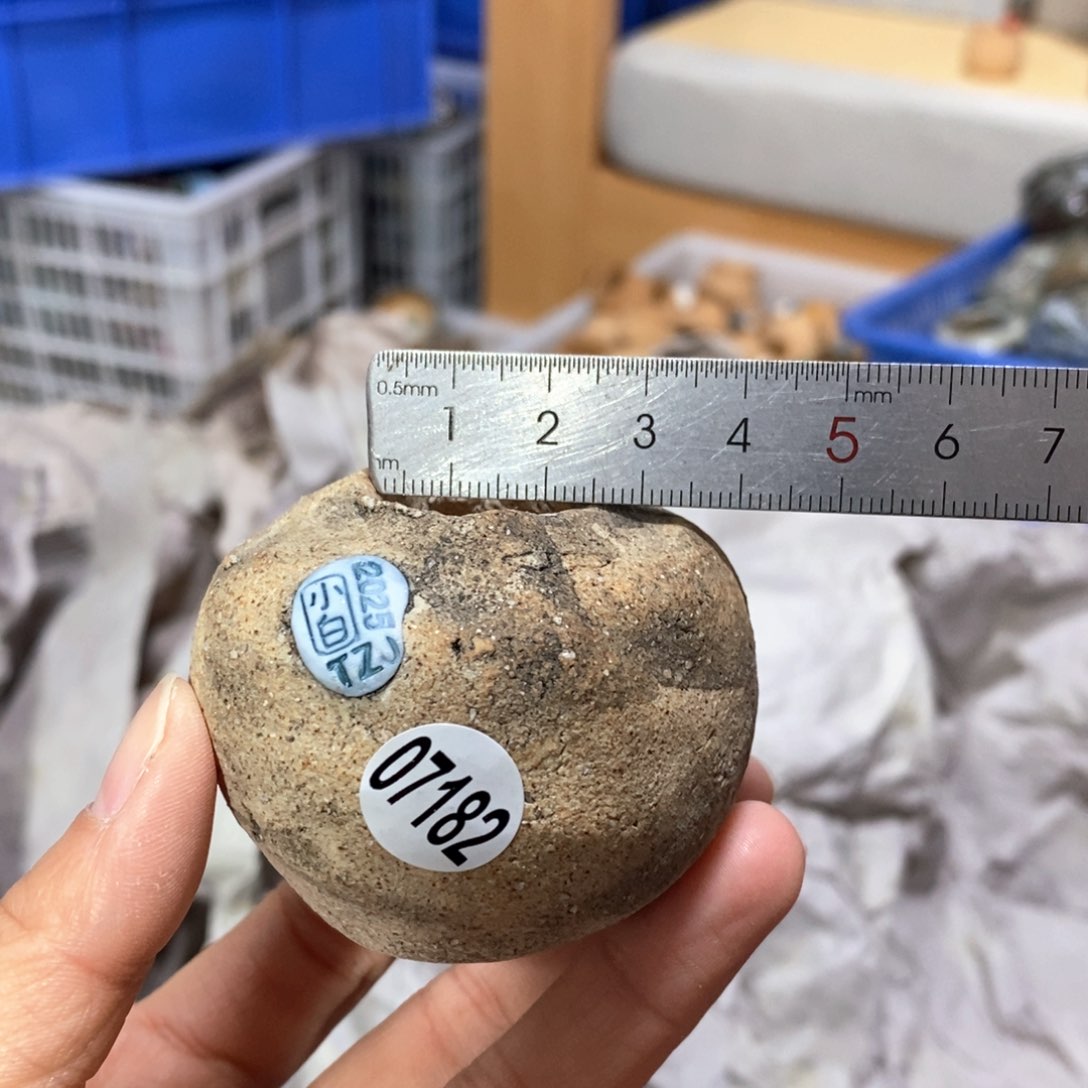 花盆拍3送一个小礼物