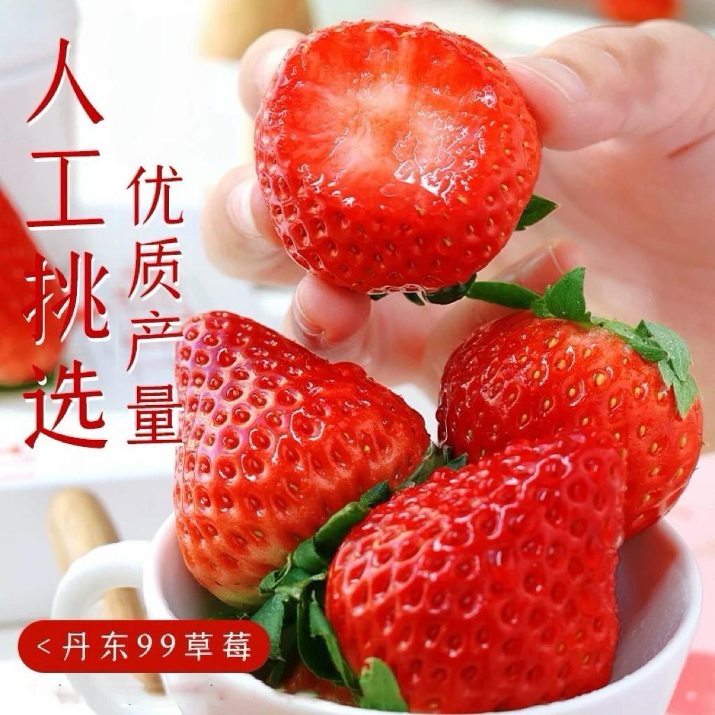 《九九草莓》草莓 一级丹东九九牛奶草莓 包邮