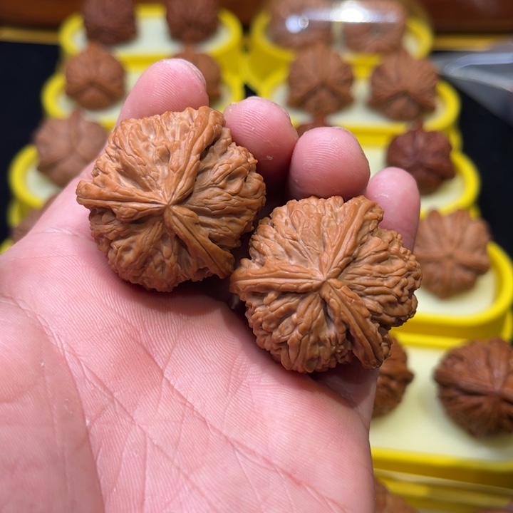 把件文玩核桃39白奔