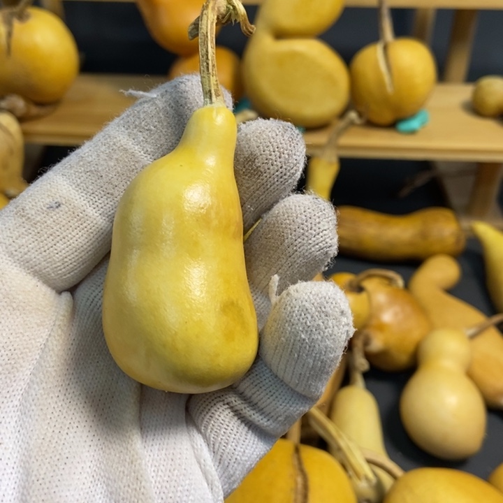 酒**子葫芦葫芦真的