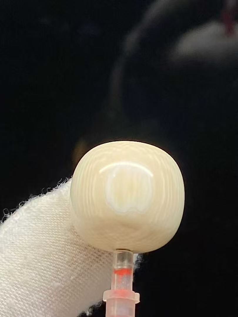 猛犸牙单珠