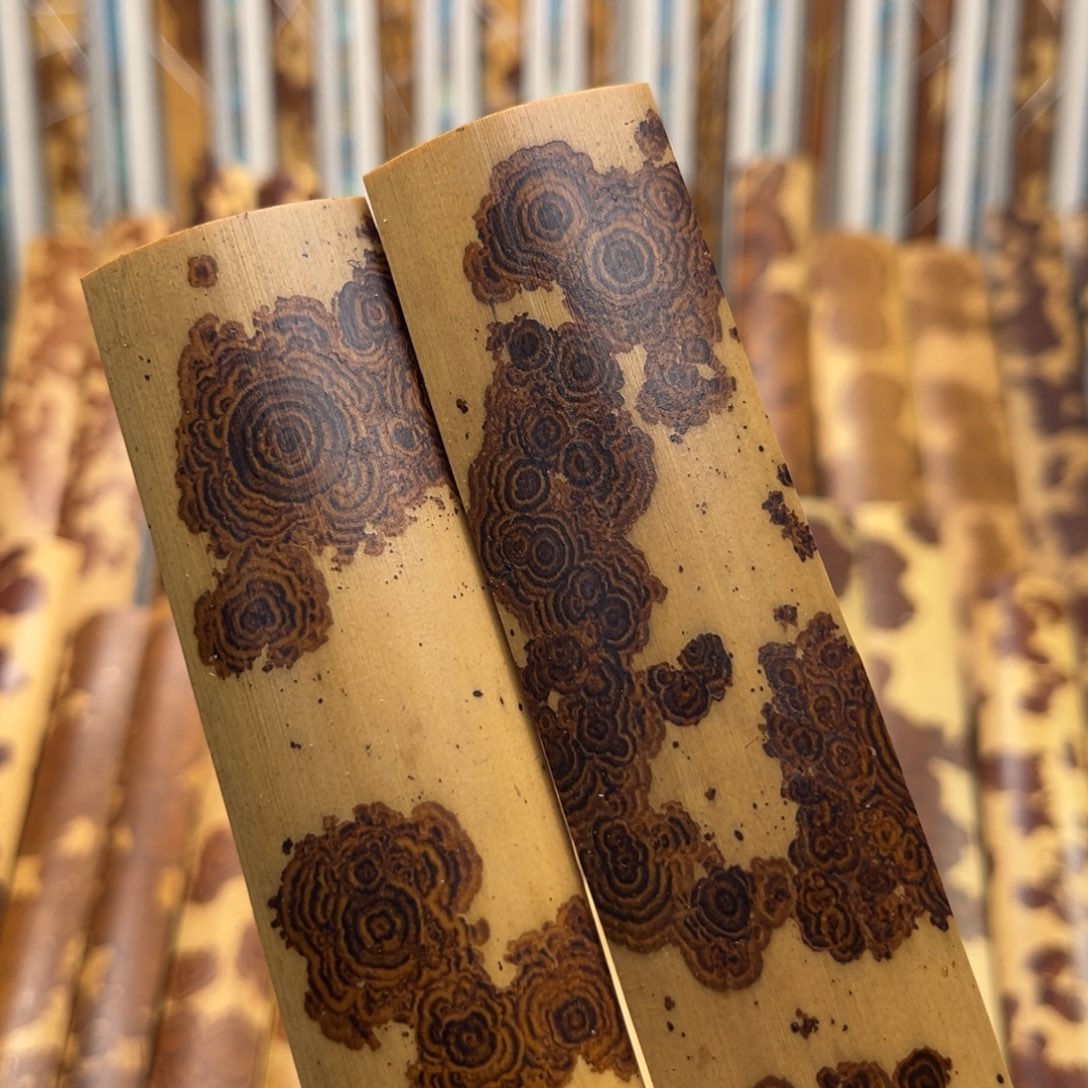 扇子扇子扇子扇子扇子