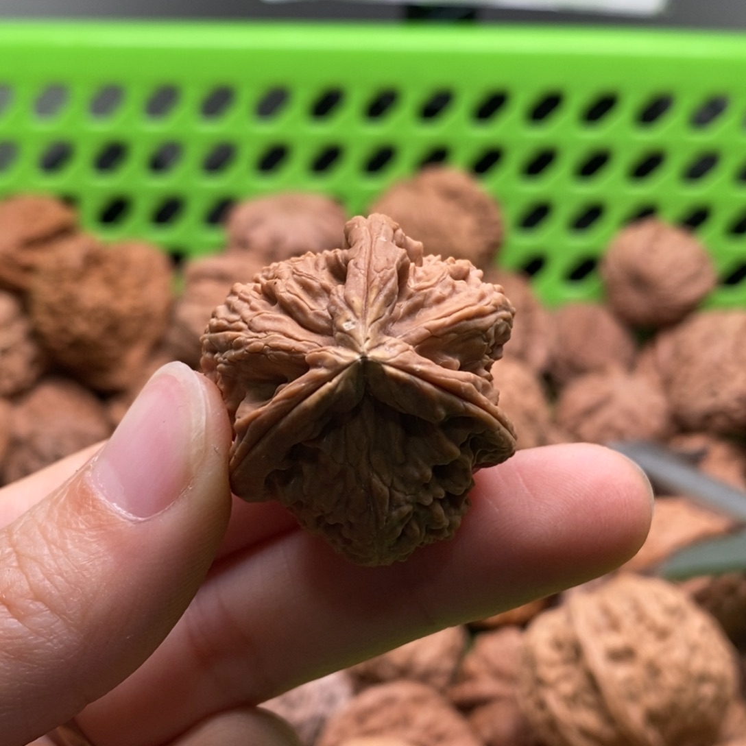 齐***齐核桃定制商品不退不换