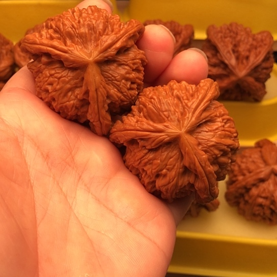 刘***样核桃核桃核桃核桃核桃厚薄