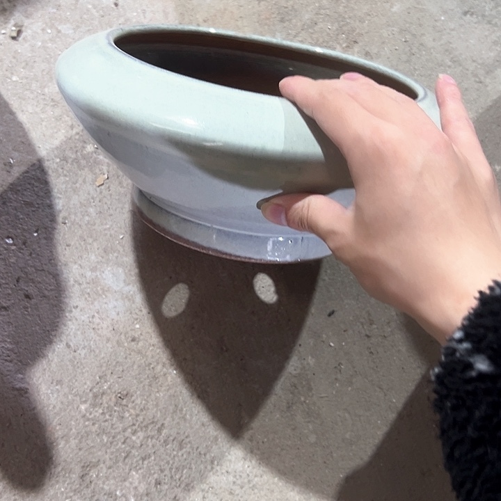 花盆花盆花色跑得快