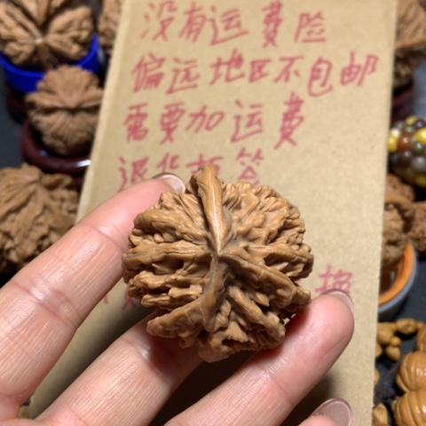 核桃?**?挂角单只一个