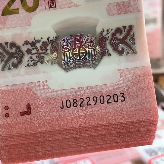 塑料十*小蛇钞082290203 生日号