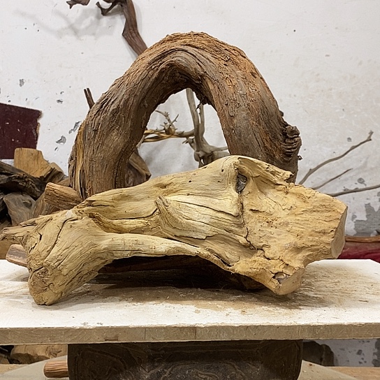 轻***飘柏木我们都是好孩子