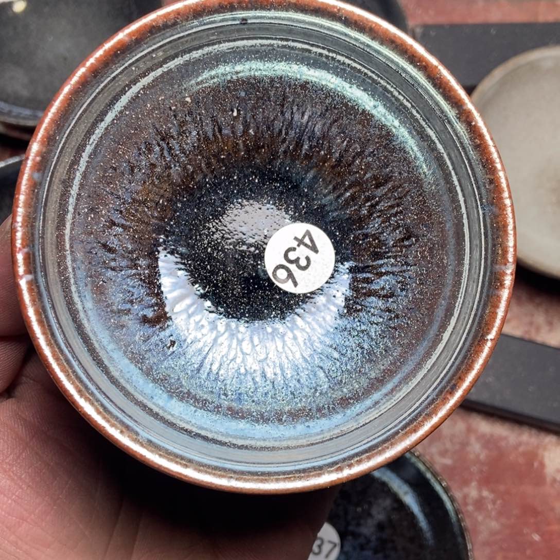 茶盏玩*星加油加油继续436