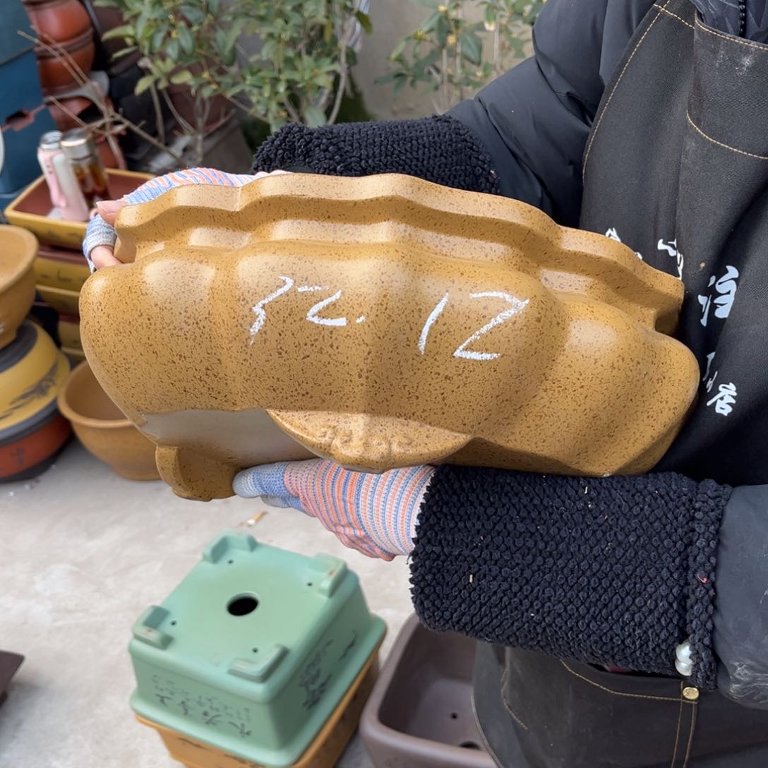 紫砂花盆盆景艺术