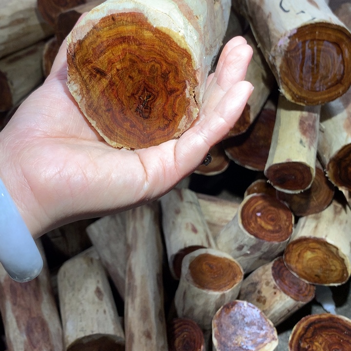 耿***闲花梨木类海南黄花梨