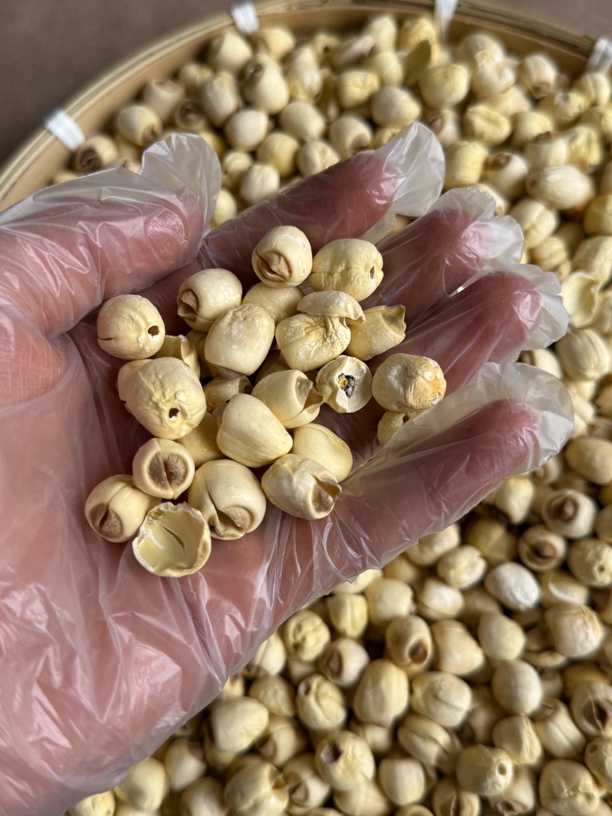 【大个山货】云南农家手工莲子可搭配枸杞