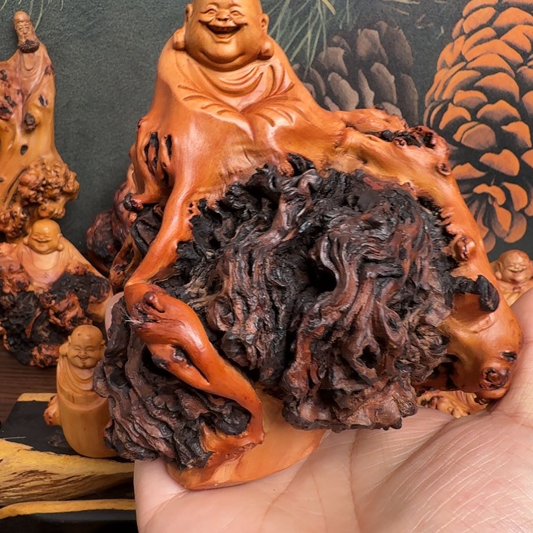 海***6木关注一下这个账号